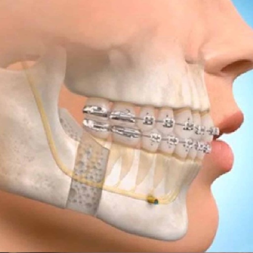 Oral & Maxillofacial Surgery